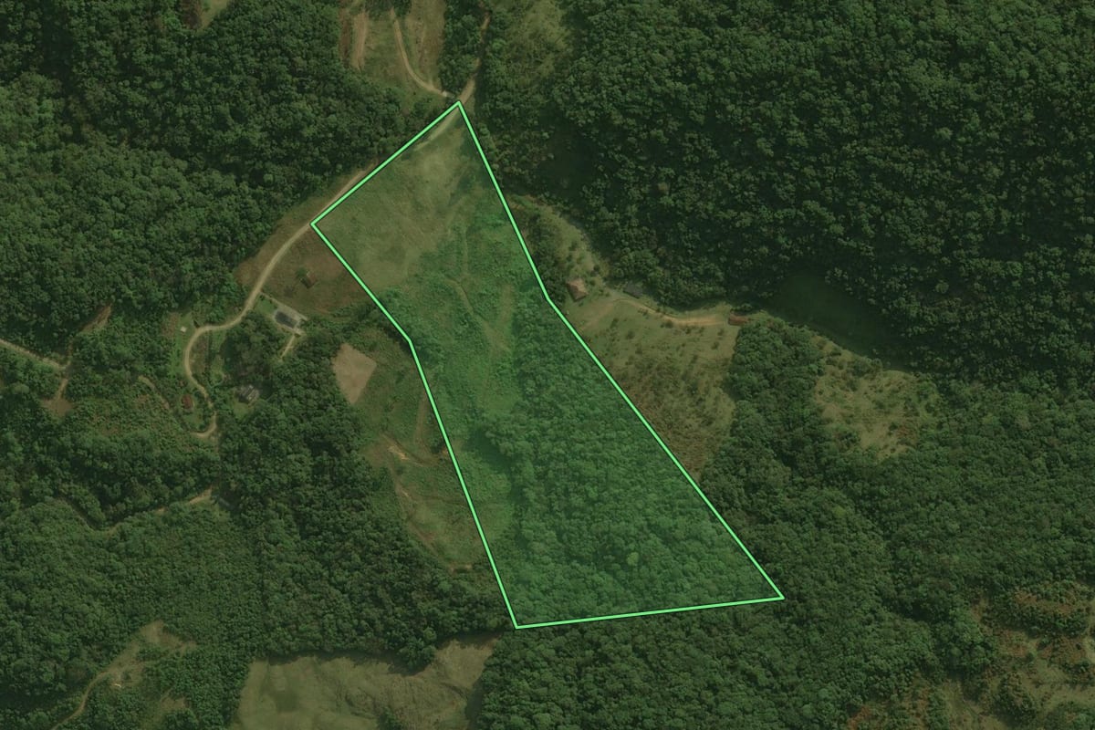 Imagem de satélite do imóvel rural em Águas Mornas (SC), com o contorno declarado no CAR desenhado por cima.