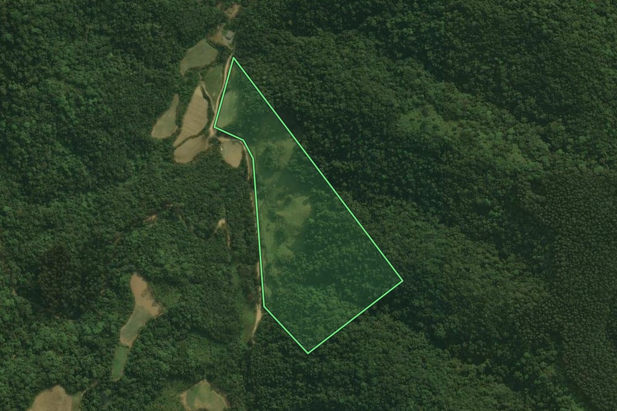 Imagem de satélite do imóvel rural em Águas Mornas (SC), com o contorno declarado no CAR desenhado por cima.