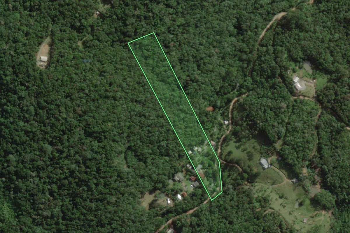 Imagem de satélite do imóvel rural em Águas Mornas (SC), com o contorno declarado no CAR desenhado por cima.