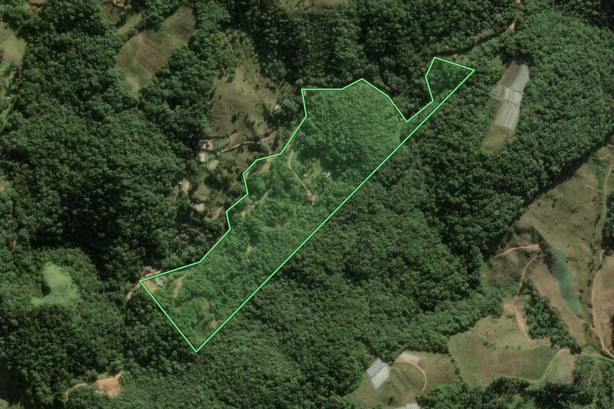 Imagem de satélite do imóvel rural em Águas Mornas (SC), com o contorno declarado no CAR desenhado por cima.