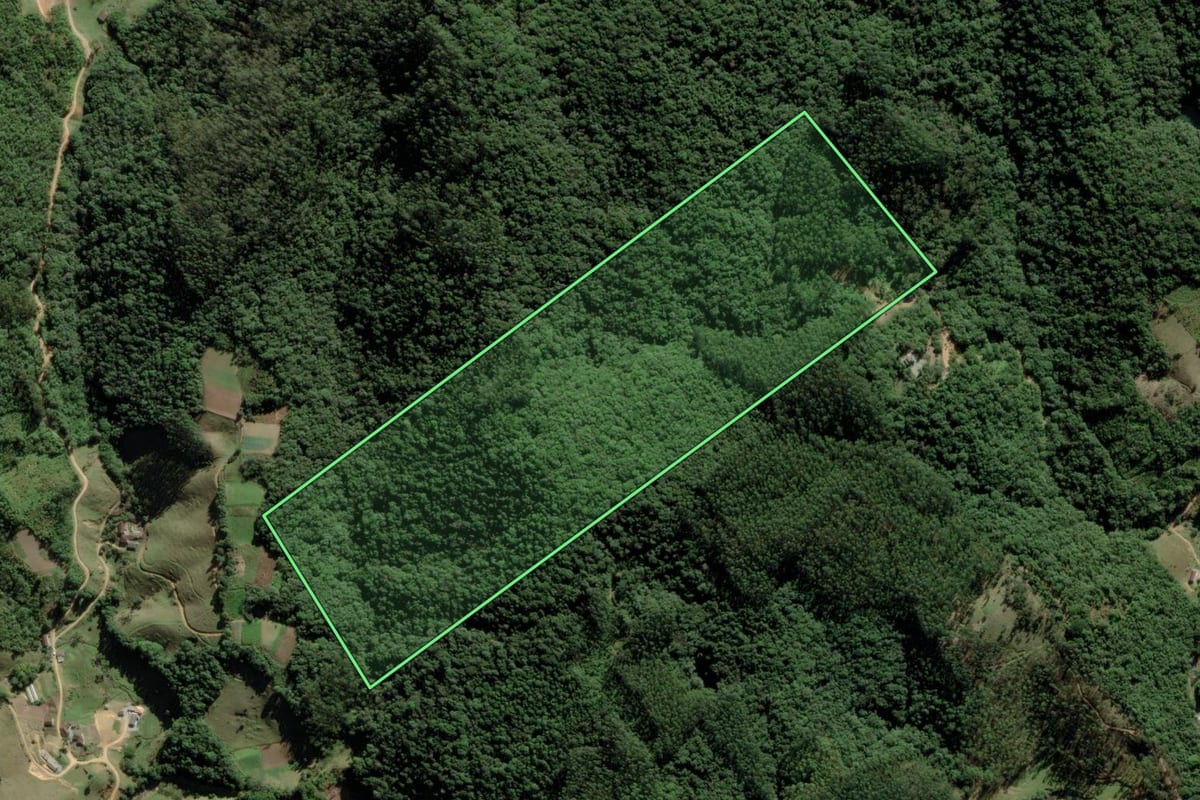 Imagem de satélite do imóvel rural em Águas Mornas (SC), com o contorno declarado no CAR desenhado por cima.