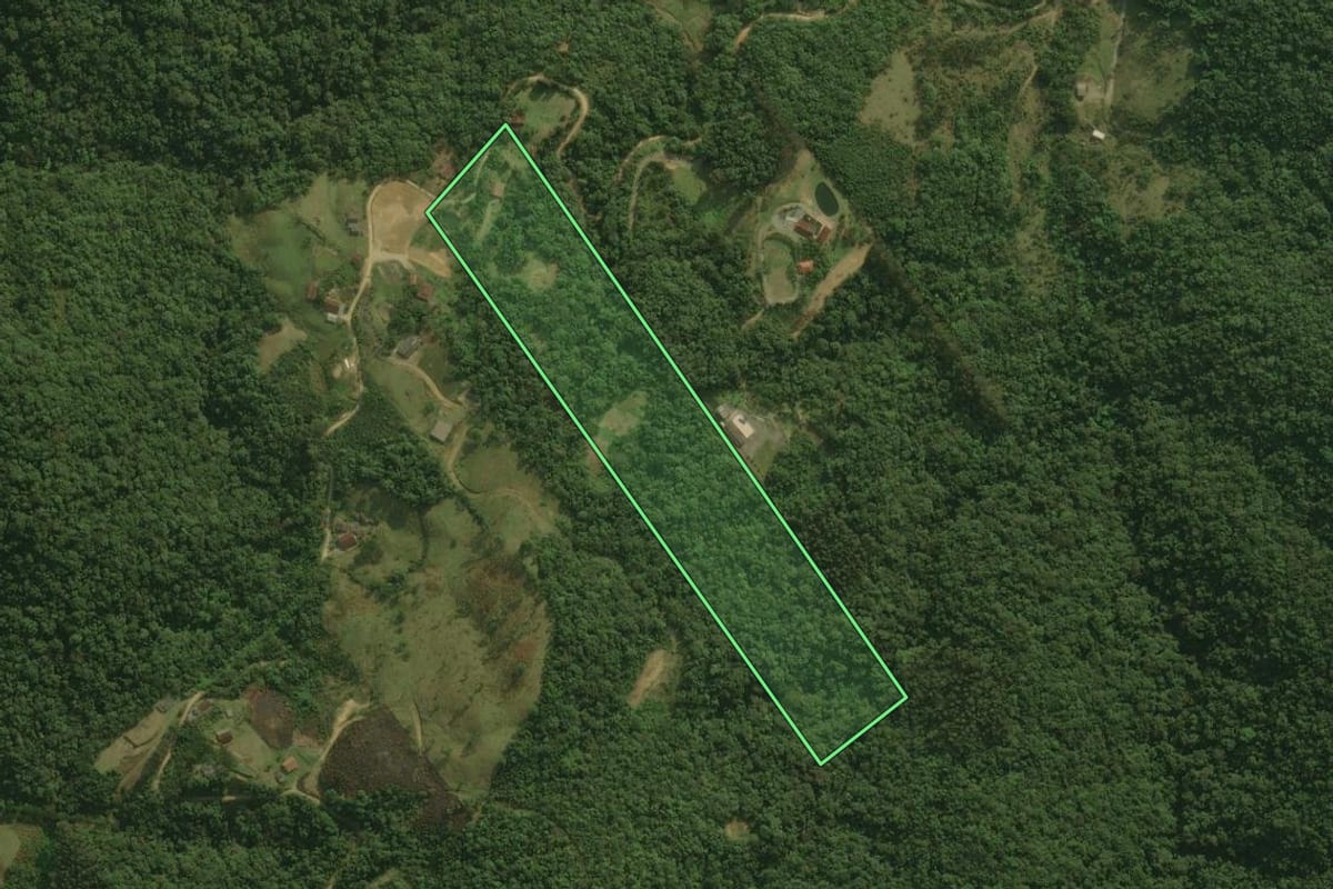 Imagem de satélite do imóvel rural em Águas Mornas (SC), com o contorno declarado no CAR desenhado por cima.