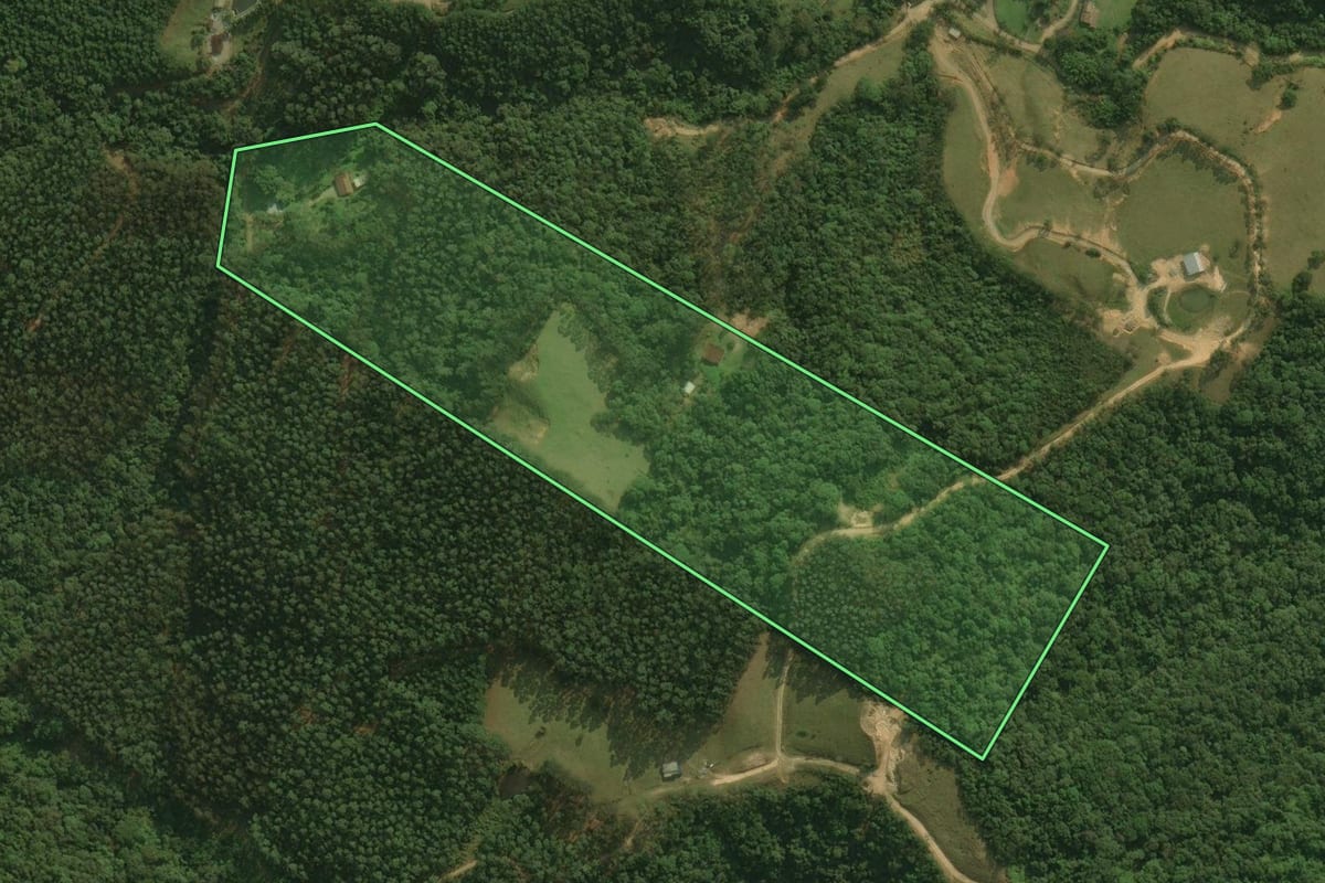Imagem de satélite do imóvel rural em Águas Mornas (SC), com o contorno declarado no CAR desenhado por cima.