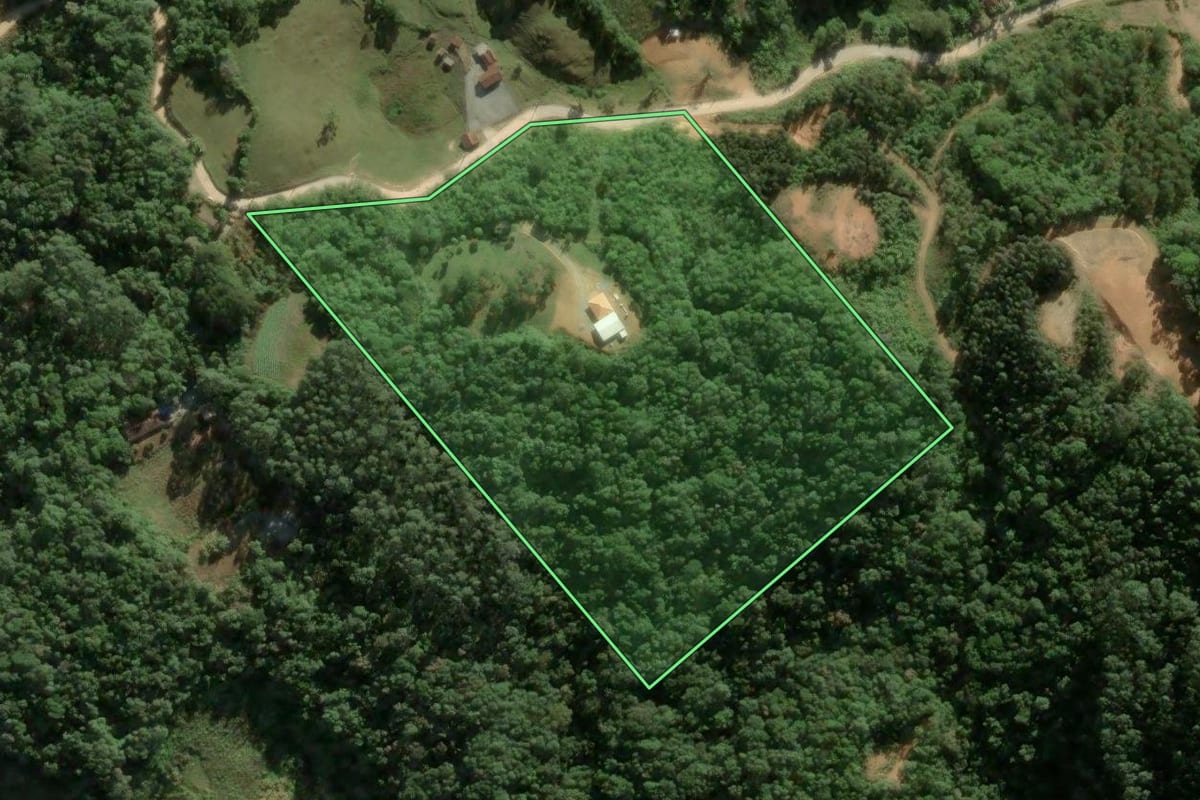 Imagem de satélite do imóvel rural em Águas Mornas (SC), com o contorno declarado no CAR desenhado por cima.