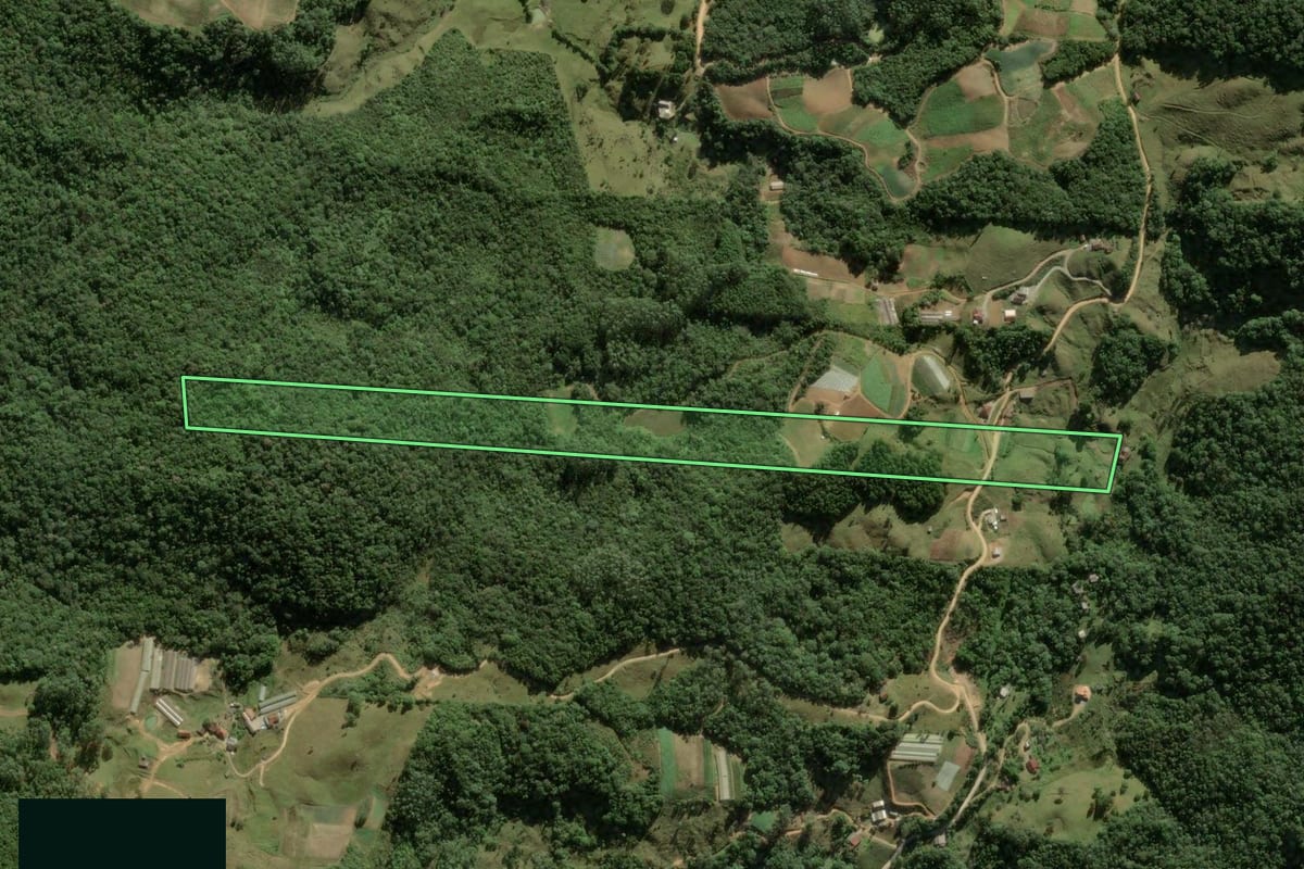 Imagem de satélite do imóvel rural em Águas Mornas (SC), com o contorno declarado no CAR desenhado por cima.