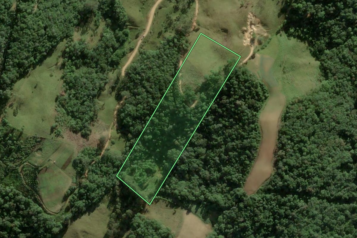 Imagem de satélite do imóvel rural em Águas Mornas (SC), com o contorno declarado no CAR desenhado por cima.