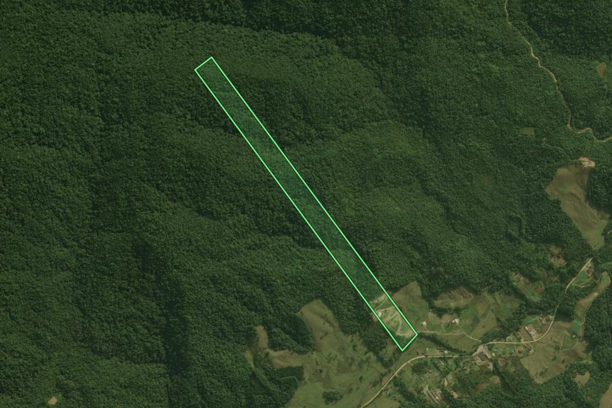 Imagem de satélite do imóvel rural em Águas Mornas (SC), com o contorno declarado no CAR desenhado por cima.