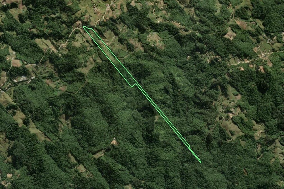 Imagem de satélite do imóvel rural em Águas Mornas (SC), com o contorno declarado no CAR desenhado por cima.