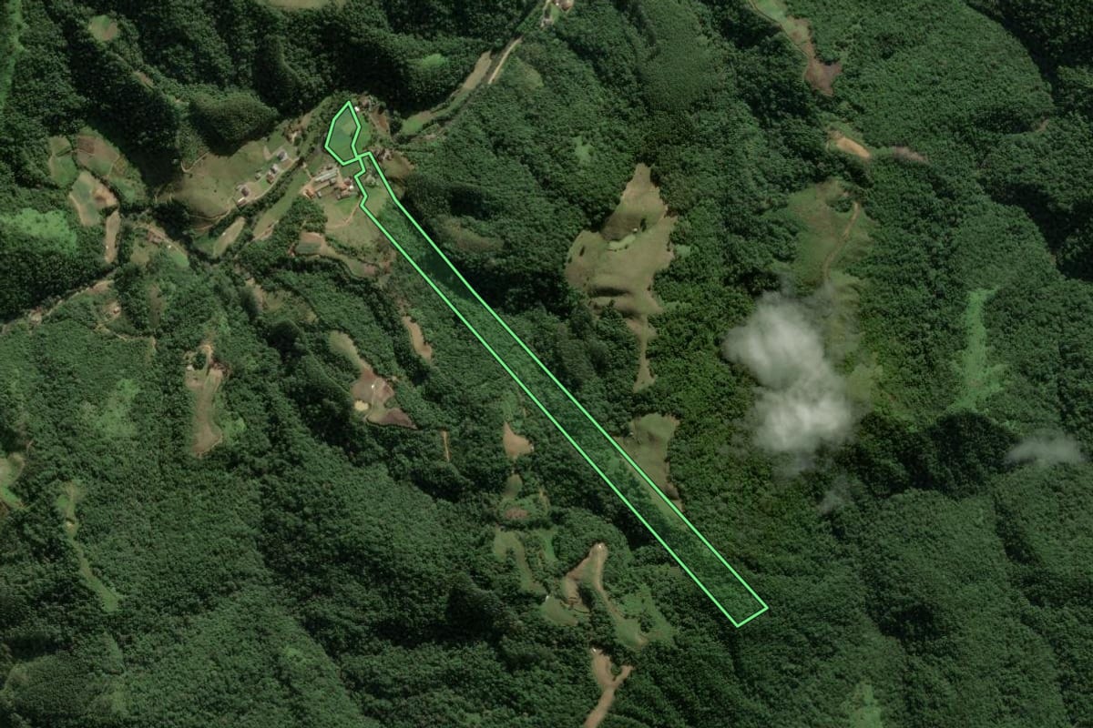 Imagem de satélite do imóvel rural em Águas Mornas (SC), com o contorno declarado no CAR desenhado por cima.