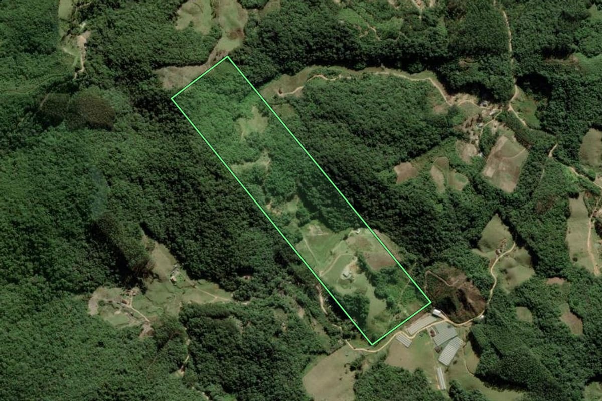 Imagem de satélite do imóvel rural em Águas Mornas (SC), com o contorno declarado no CAR desenhado por cima.