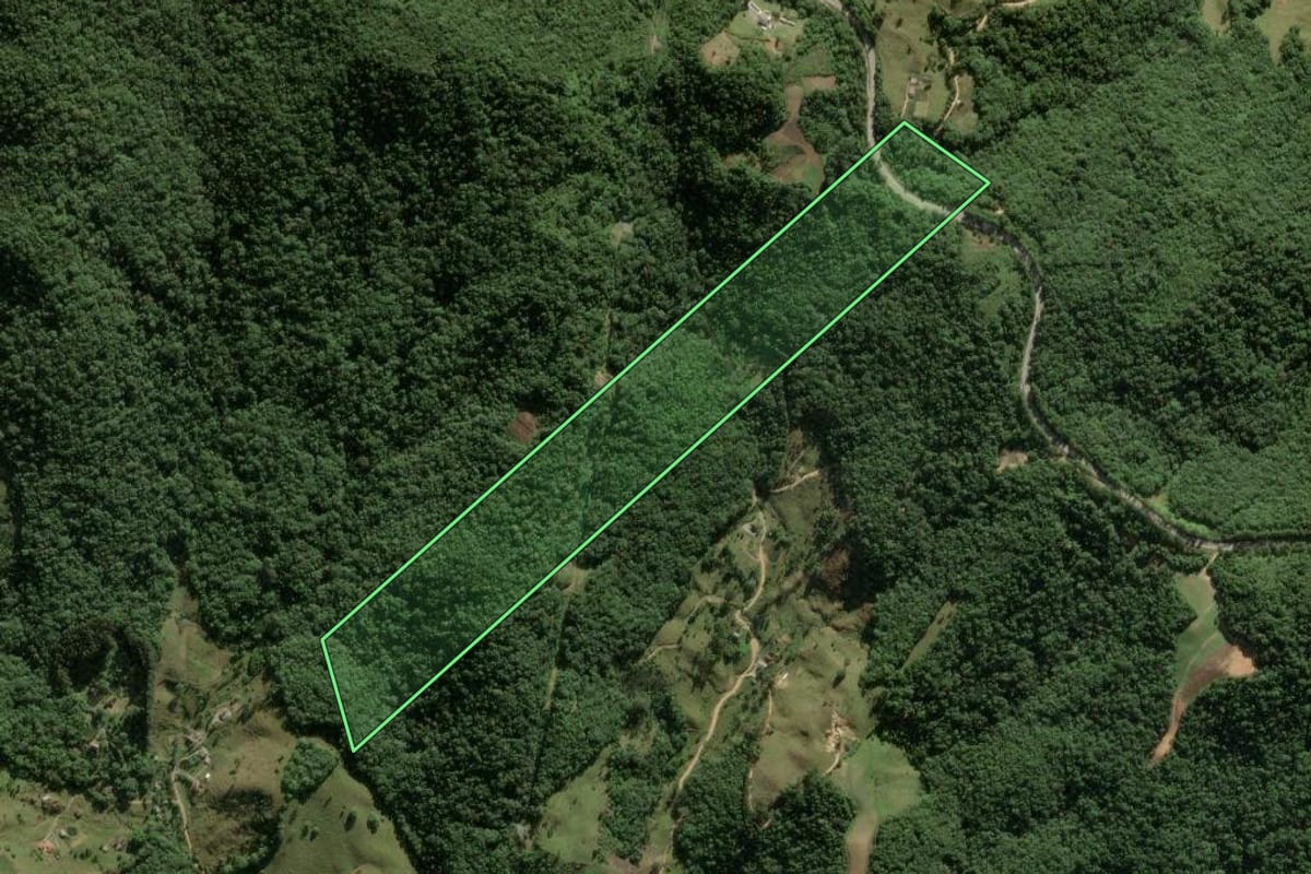 Imagem de satélite do imóvel rural em Águas Mornas (SC), com o contorno declarado no CAR desenhado por cima.