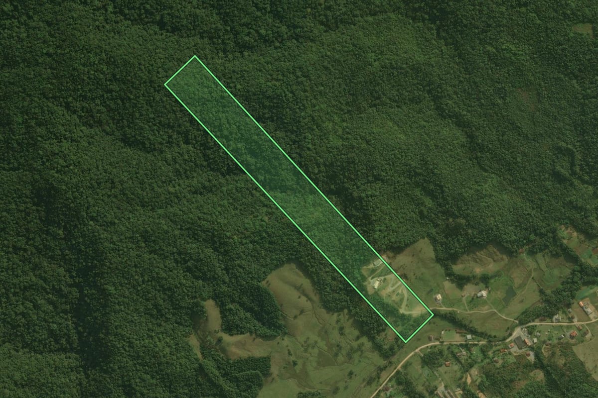 Imagem de satélite do imóvel rural em Águas Mornas (SC), com o contorno declarado no CAR desenhado por cima.