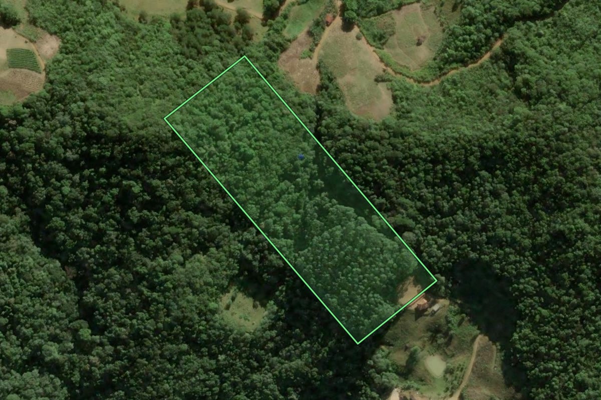 Imagem de satélite do imóvel rural em Águas Mornas (SC), com o contorno declarado no CAR desenhado por cima.