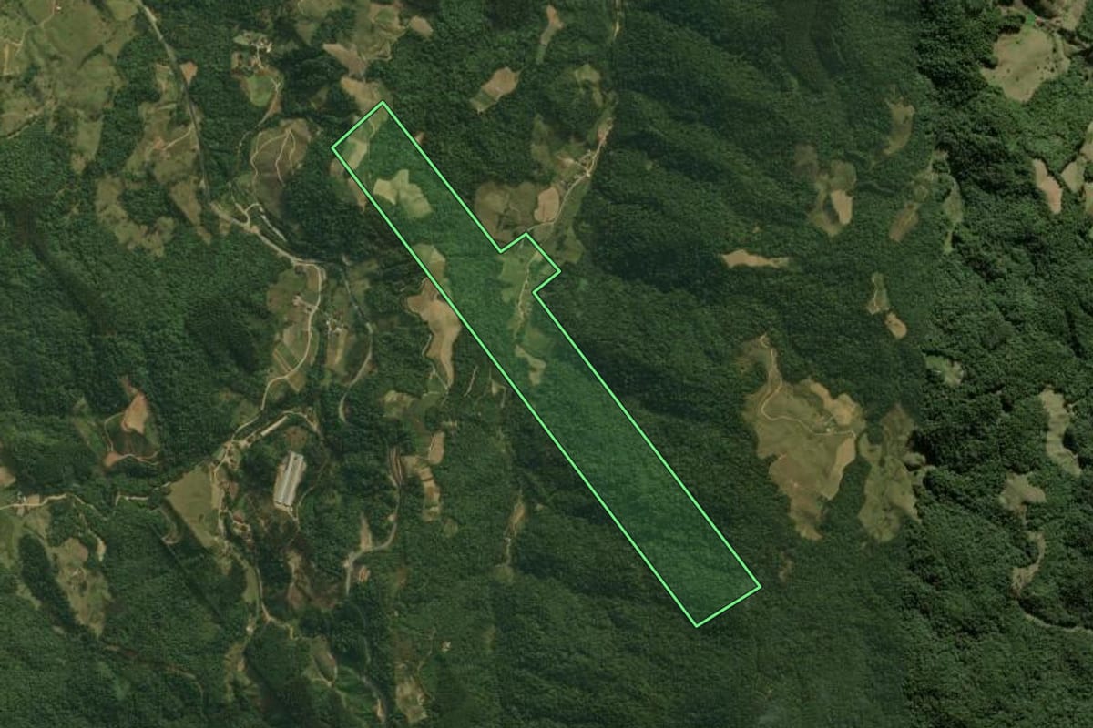 Imagem de satélite do imóvel rural em Águas Mornas (SC), com o contorno declarado no CAR desenhado por cima.