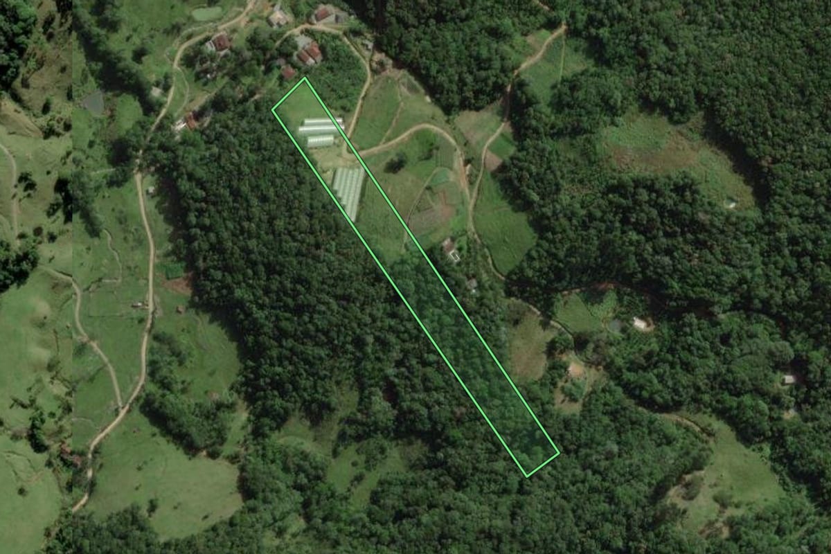 Imagem de satélite do imóvel rural em Águas Mornas (SC), com o contorno declarado no CAR desenhado por cima.