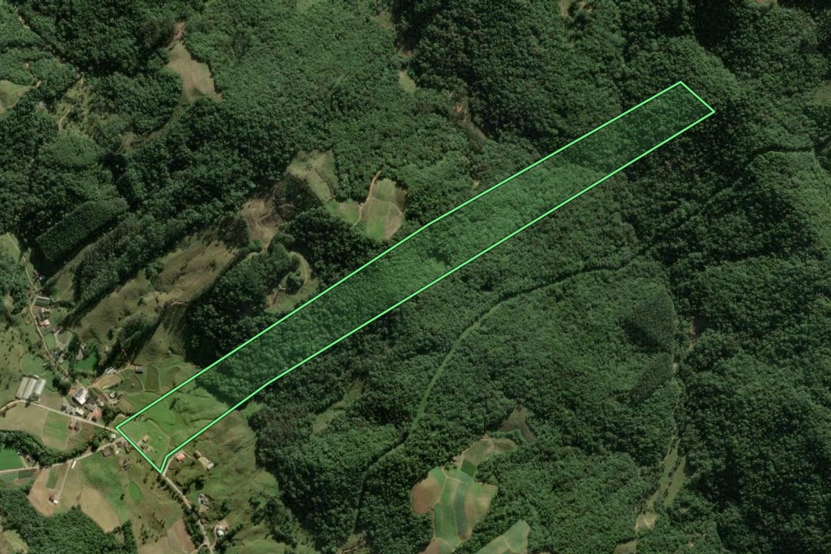 Imagem de satélite do imóvel rural em Águas Mornas (SC), com o contorno declarado no CAR desenhado por cima.