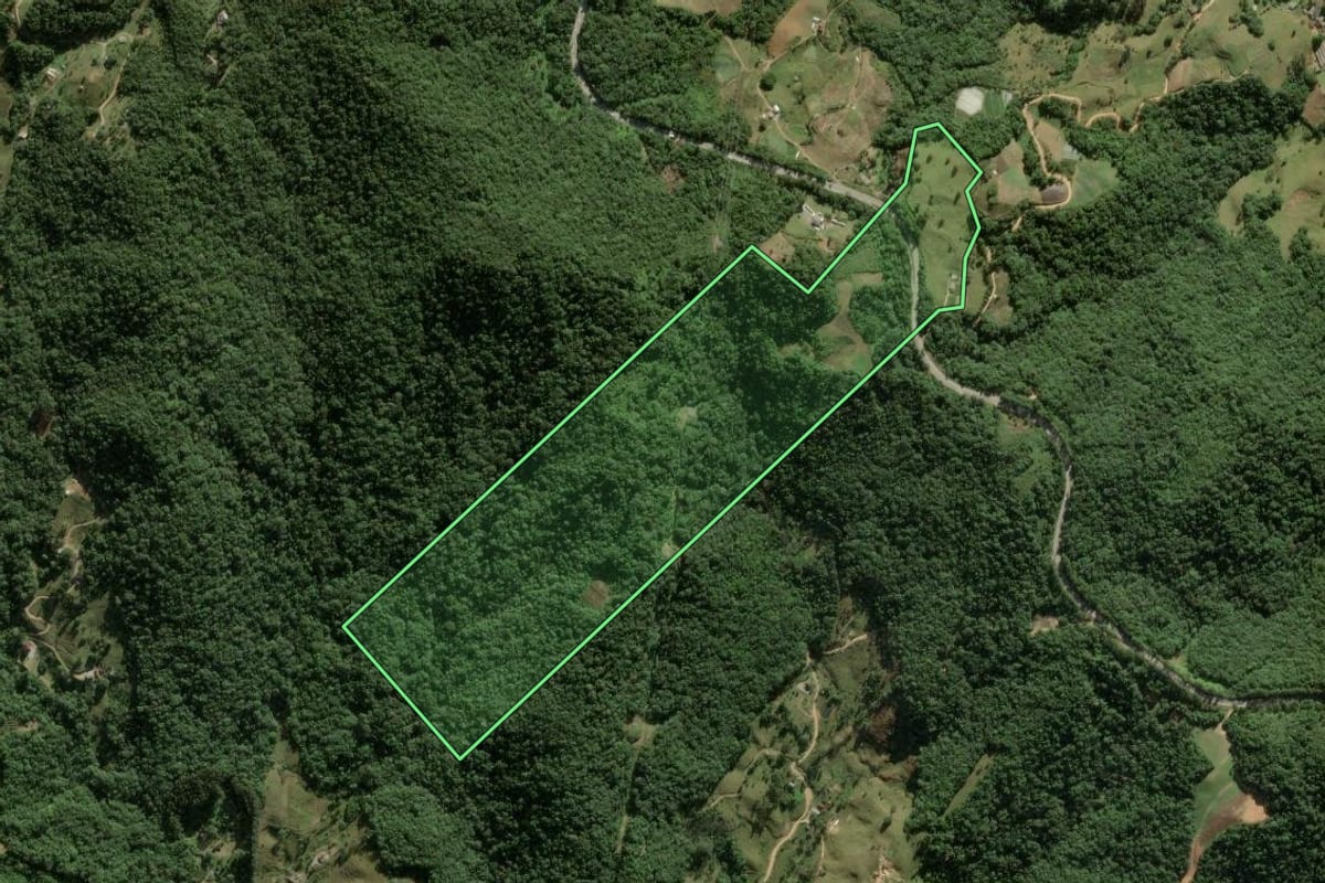 Imagem de satélite do imóvel rural em Águas Mornas (SC), com o contorno declarado no CAR desenhado por cima.