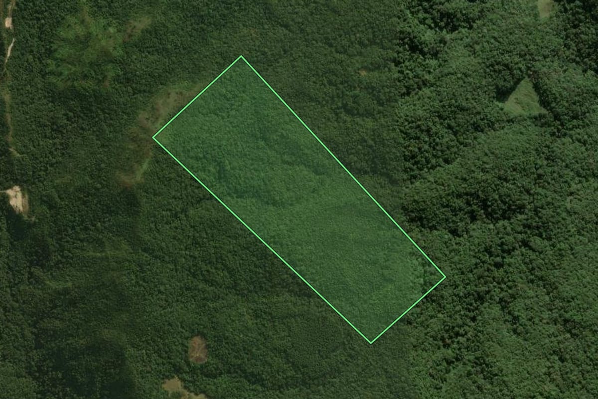 Imagem de satélite do imóvel rural em Águas Mornas (SC), com o contorno declarado no CAR desenhado por cima.