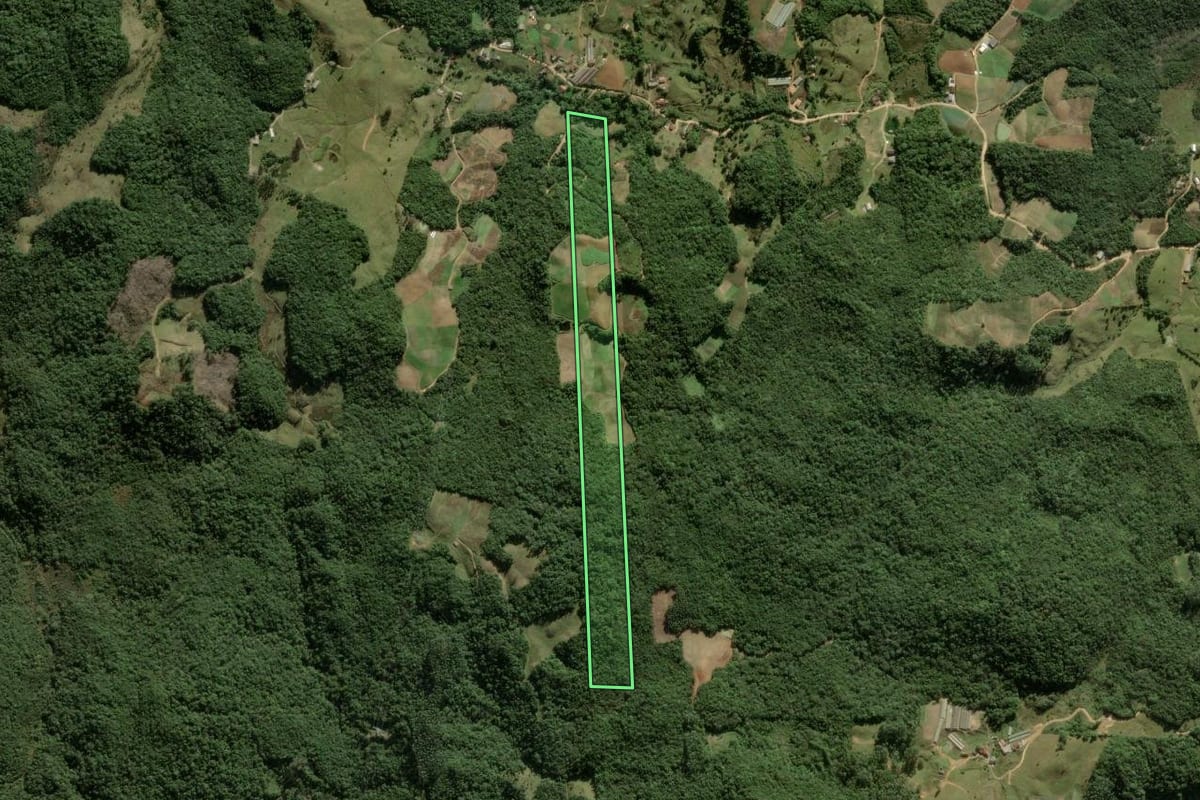Imagem de satélite do imóvel rural em Águas Mornas (SC), com o contorno declarado no CAR desenhado por cima.