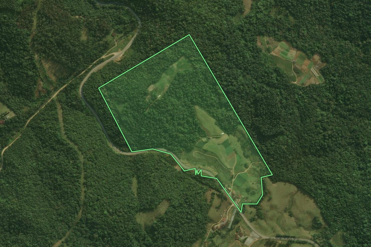 Imagem de satélite do imóvel rural em Águas Mornas (SC), com o contorno declarado no CAR desenhado por cima.