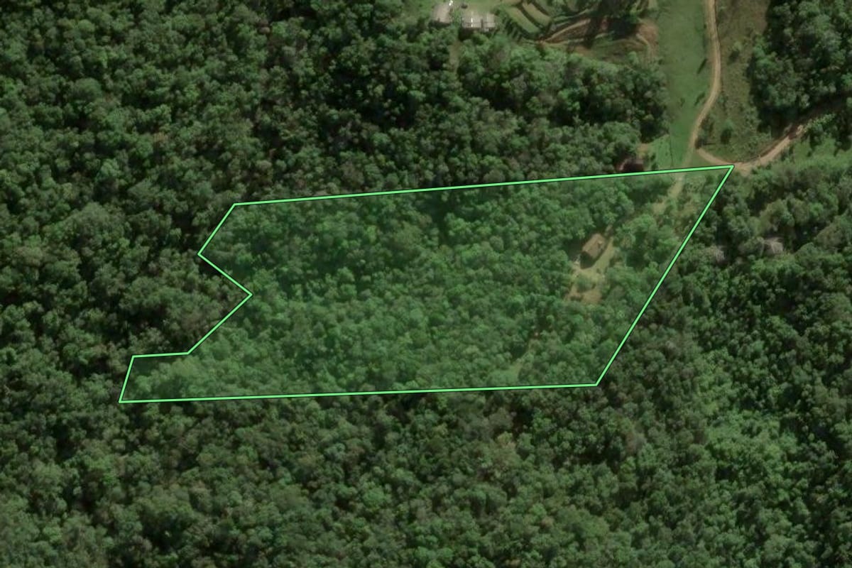Imagem de satélite do imóvel rural em Águas Mornas (SC), com o contorno declarado no CAR desenhado por cima.