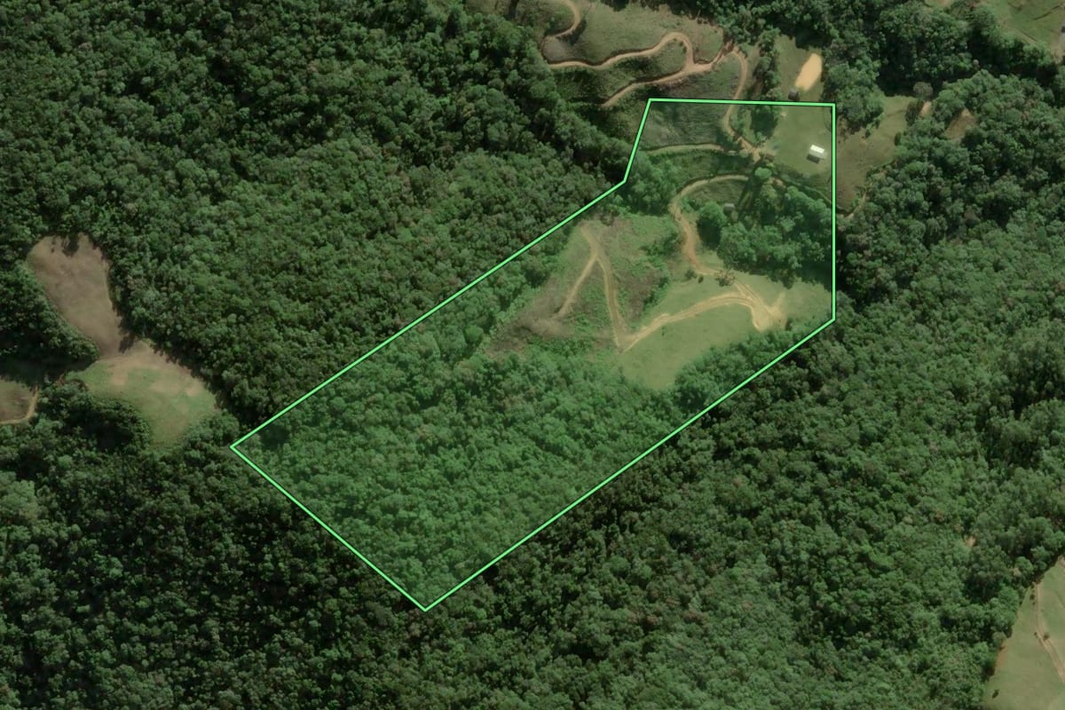 Imagem de satélite do imóvel rural em Águas Mornas (SC), com o contorno declarado no CAR desenhado por cima.