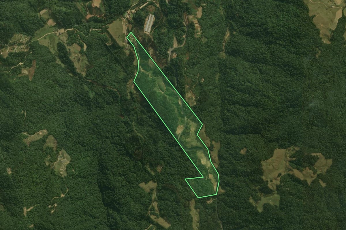 Imagem de satélite do imóvel rural em Águas Mornas (SC), com o contorno declarado no CAR desenhado por cima.