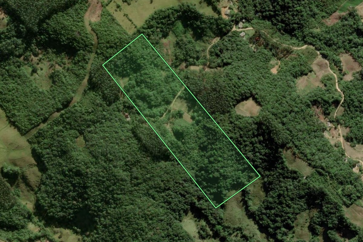 Imagem de satélite do imóvel rural em Águas Mornas (SC), com o contorno declarado no CAR desenhado por cima.
