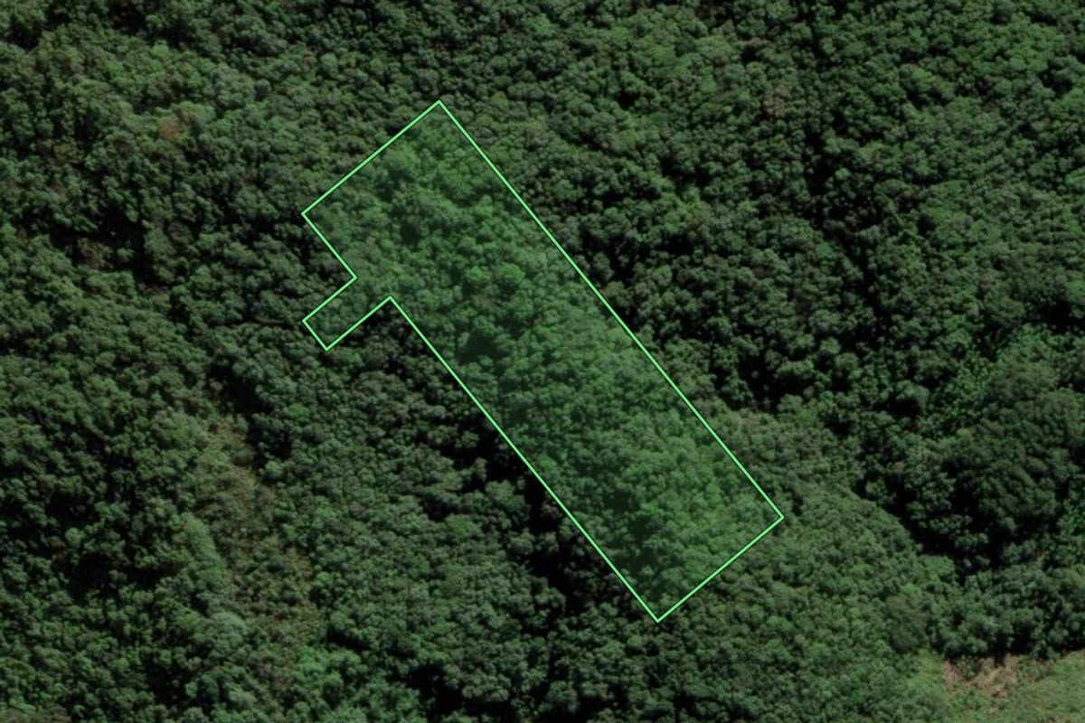 Imagem de satélite do imóvel rural em Águas Mornas (SC), com o contorno declarado no CAR desenhado por cima.