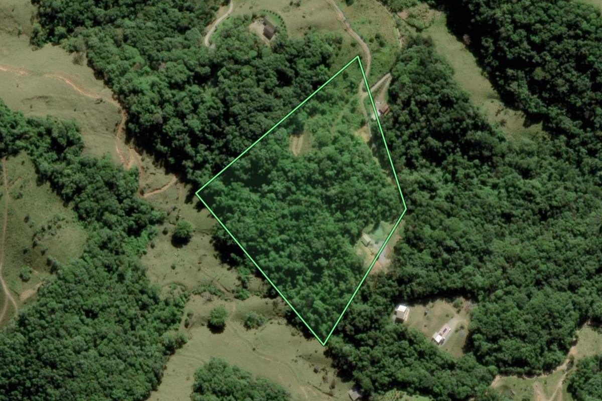 Imagem de satélite do imóvel rural em Águas Mornas (SC), com o contorno declarado no CAR desenhado por cima.