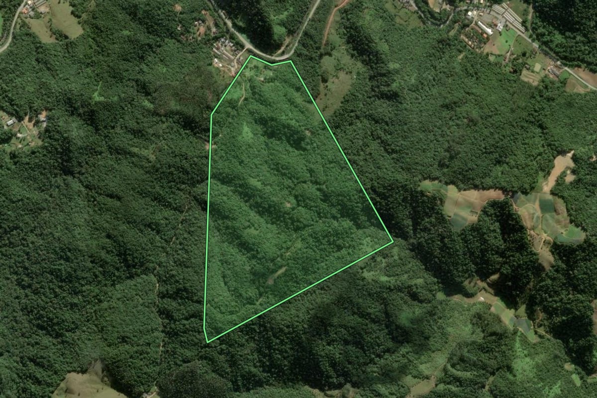 Imagem de satélite do imóvel rural em Águas Mornas (SC), com o contorno declarado no CAR desenhado por cima.