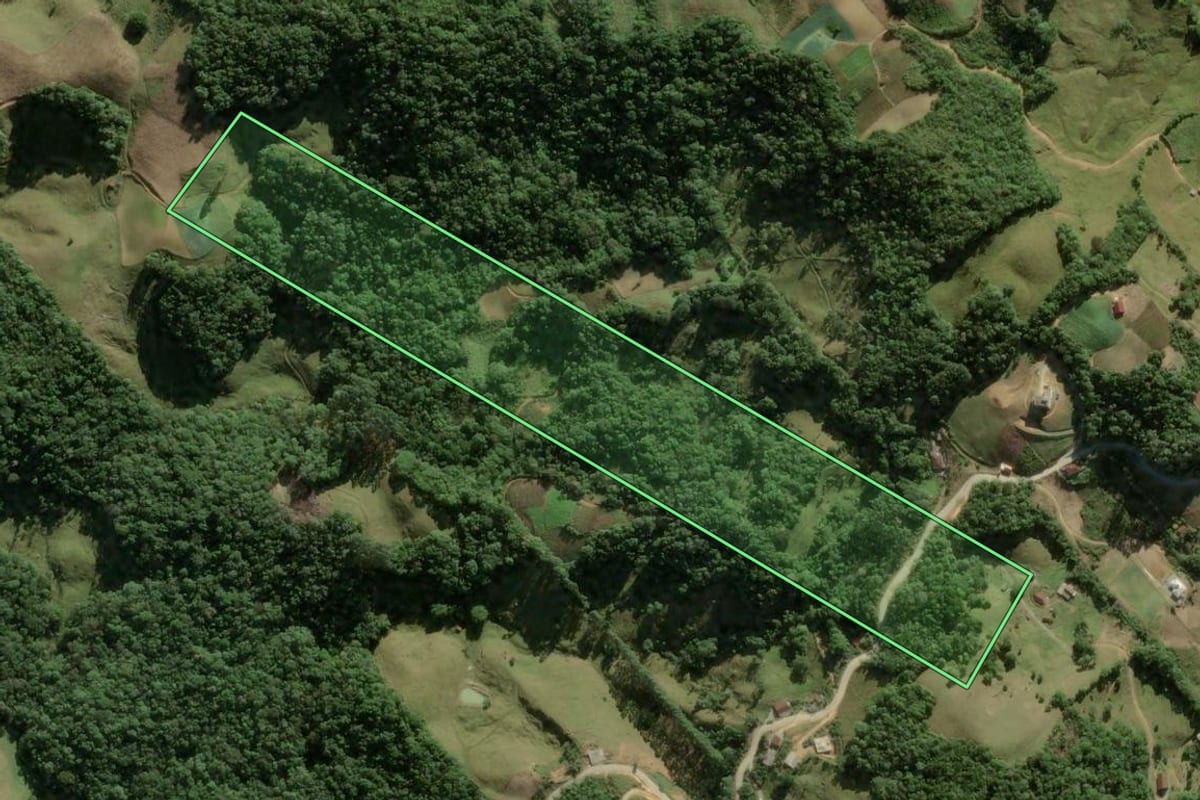 Imagem de satélite do imóvel rural em Águas Mornas (SC), com o contorno declarado no CAR desenhado por cima.