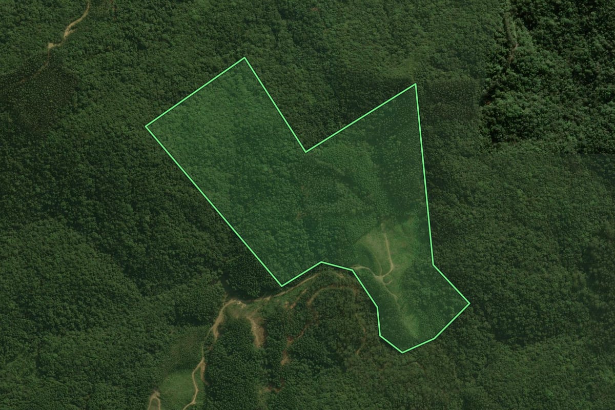 Imagem de satélite do imóvel rural em Águas Mornas (SC), com o contorno declarado no CAR desenhado por cima.