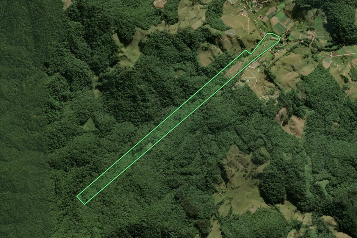 Imagem de satélite do imóvel rural em Águas Mornas (SC), com o contorno declarado no CAR desenhado por cima.