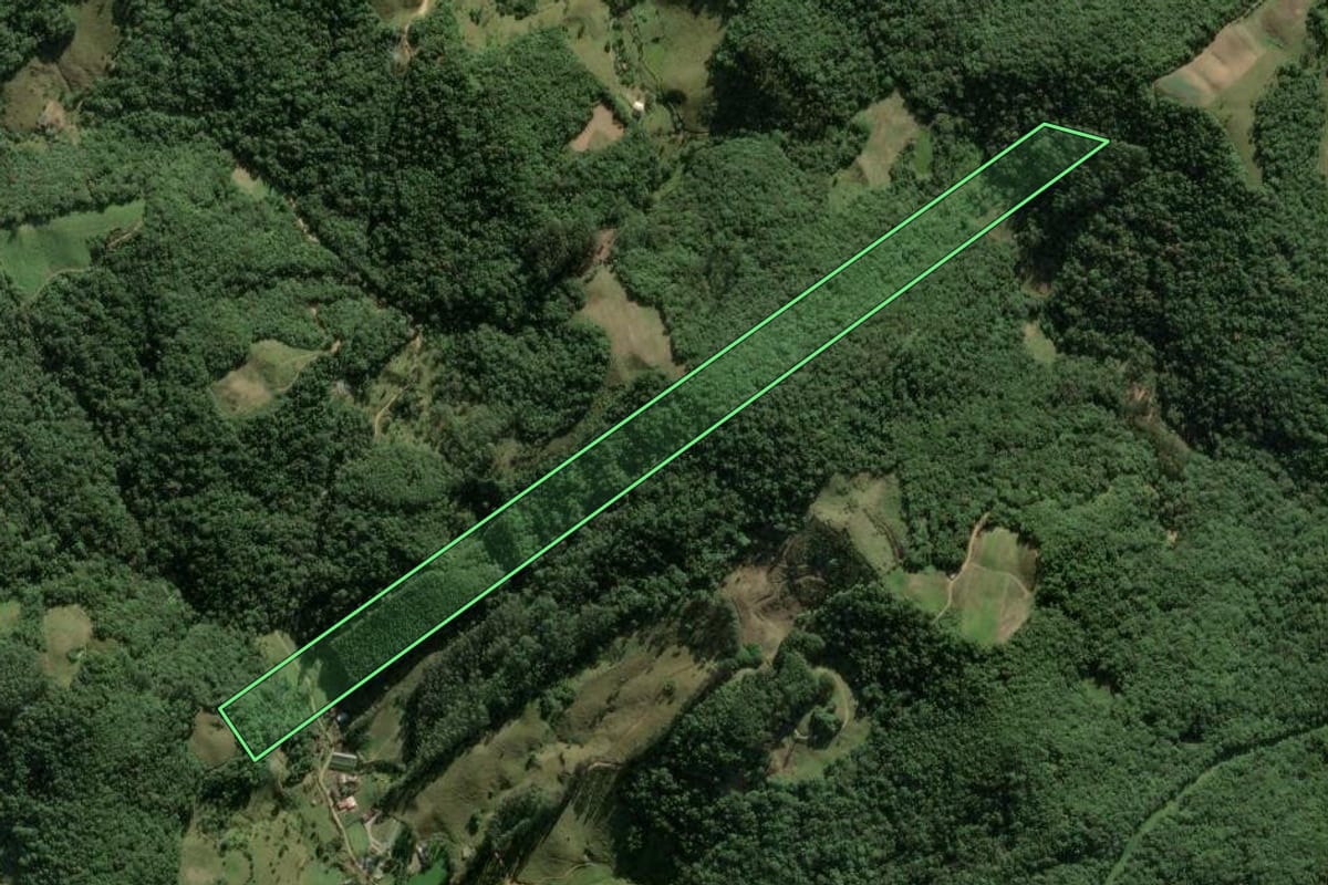 Imagem de satélite do imóvel rural em Águas Mornas (SC), com o contorno declarado no CAR desenhado por cima.