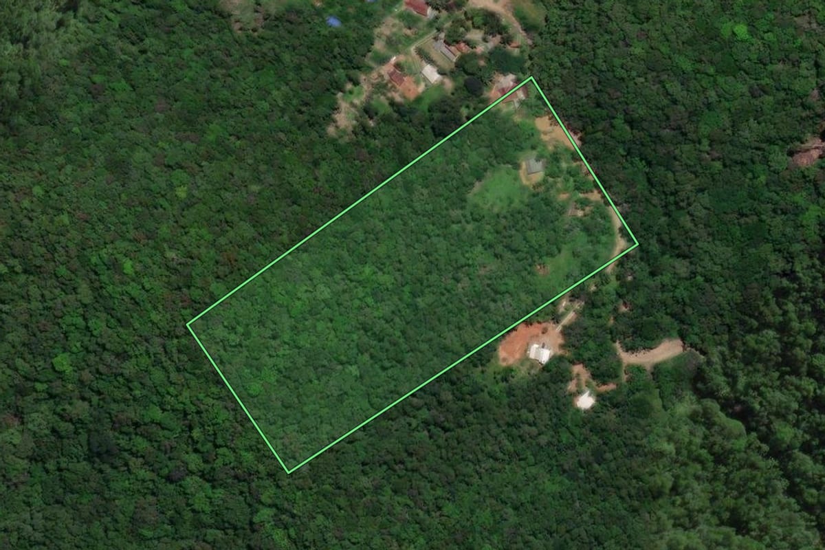 Imagem de satélite do imóvel rural em Águas Mornas (SC), com o contorno declarado no CAR desenhado por cima.