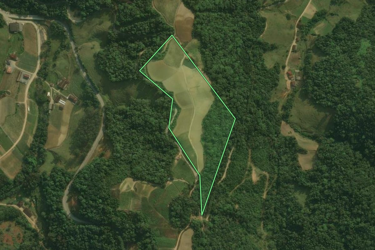 Imagem de satélite do imóvel rural em Águas Mornas (SC), com o contorno declarado no CAR desenhado por cima.
