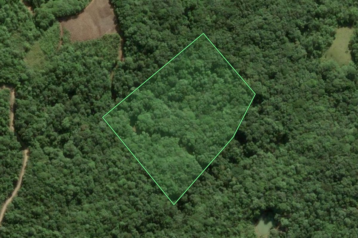 Imagem de satélite do imóvel rural em Águas Mornas (SC), com o contorno declarado no CAR desenhado por cima.