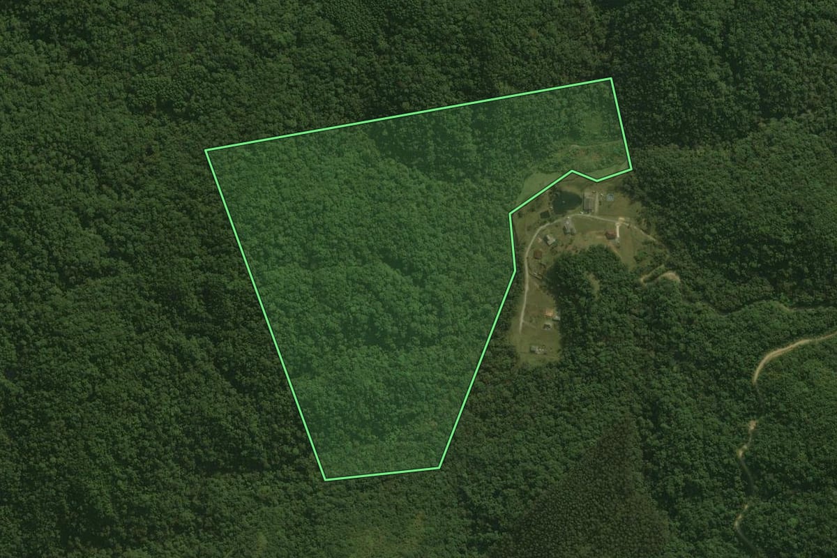 Imagem de satélite do imóvel rural em Águas Mornas (SC), com o contorno declarado no CAR desenhado por cima.