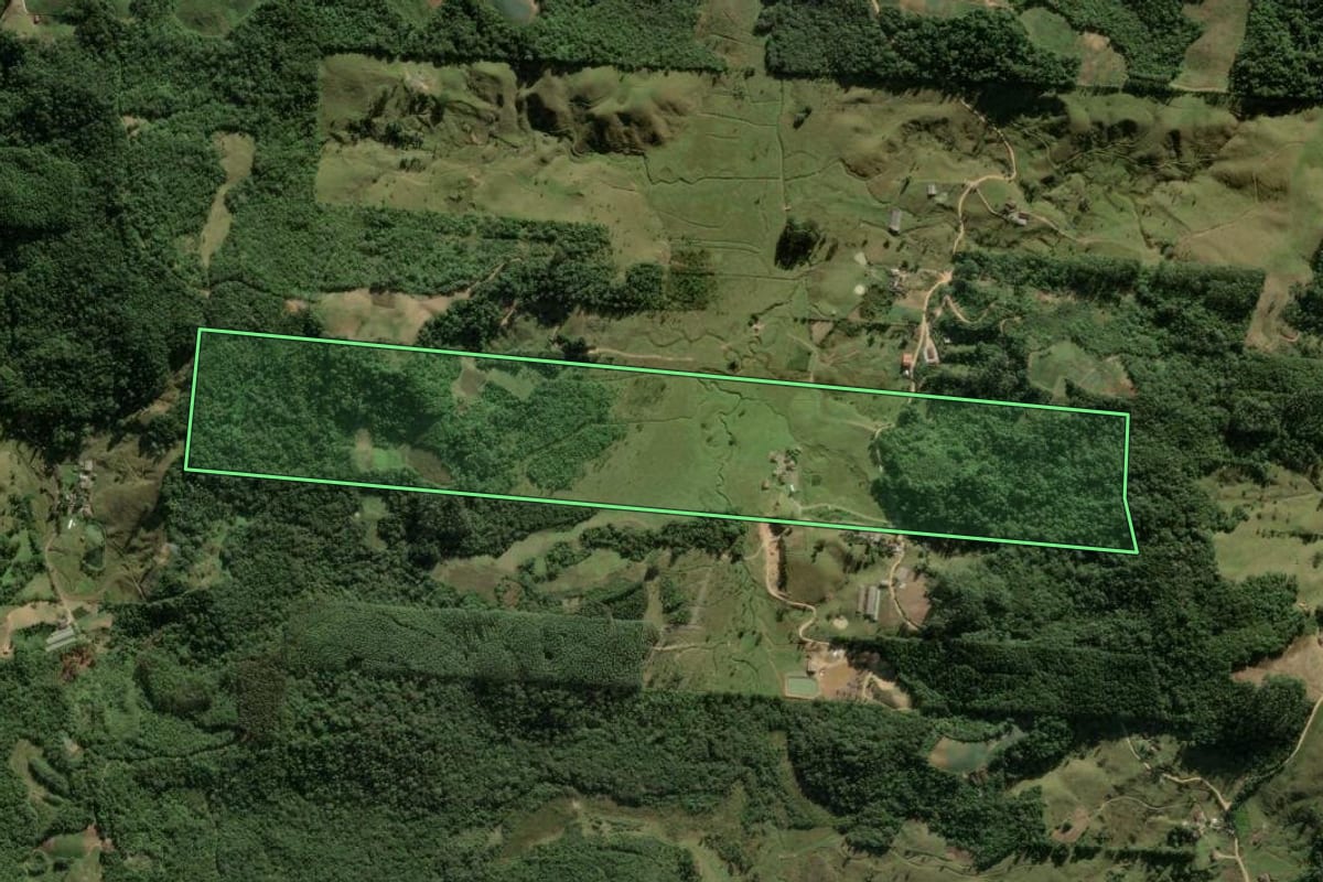 Imagem de satélite do imóvel rural em Águas Mornas (SC), com o contorno declarado no CAR desenhado por cima.