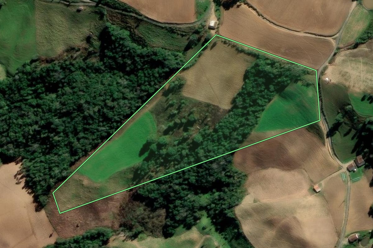 Imagem de satélite do imóvel rural em Alfredo Wagner (SC), com o contorno declarado no CAR desenhado por cima.