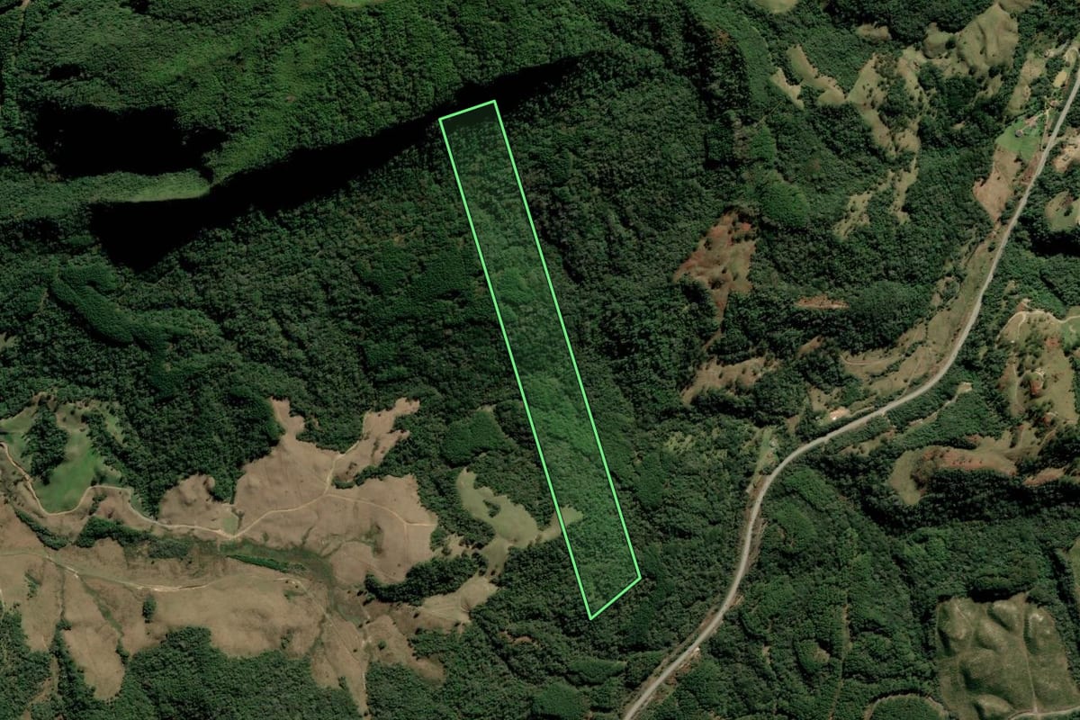 Imagem de satélite do imóvel rural em Alfredo Wagner (SC), com o contorno declarado no CAR desenhado por cima.