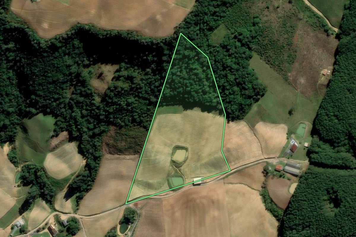 Imagem de satélite do imóvel rural em Alfredo Wagner (SC), com o contorno declarado no CAR desenhado por cima.