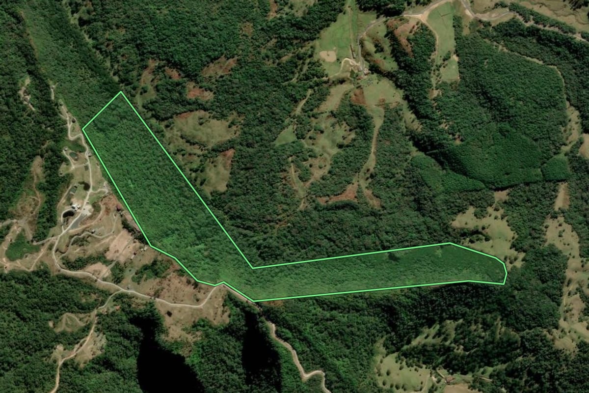 Imagem de satélite do imóvel rural em Alfredo Wagner (SC), com o contorno declarado no CAR desenhado por cima.