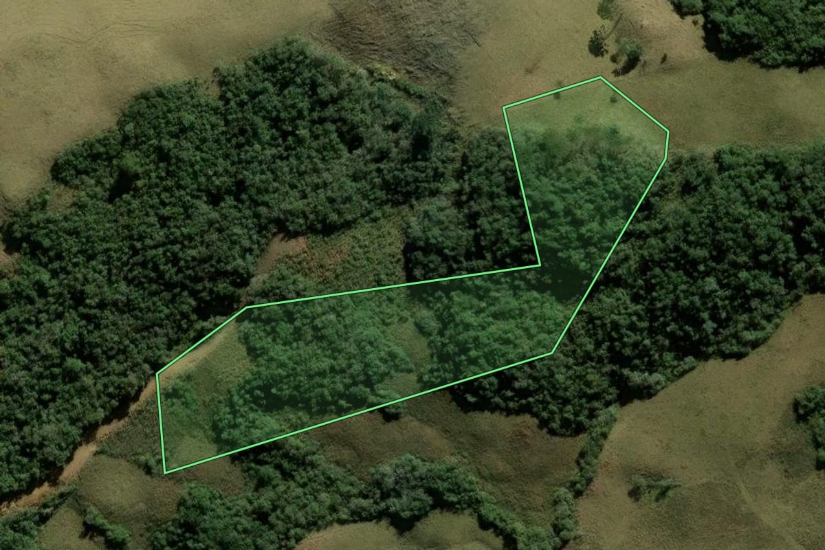 Imagem de satélite do imóvel rural em Alfredo Wagner (SC), com o contorno declarado no CAR desenhado por cima.