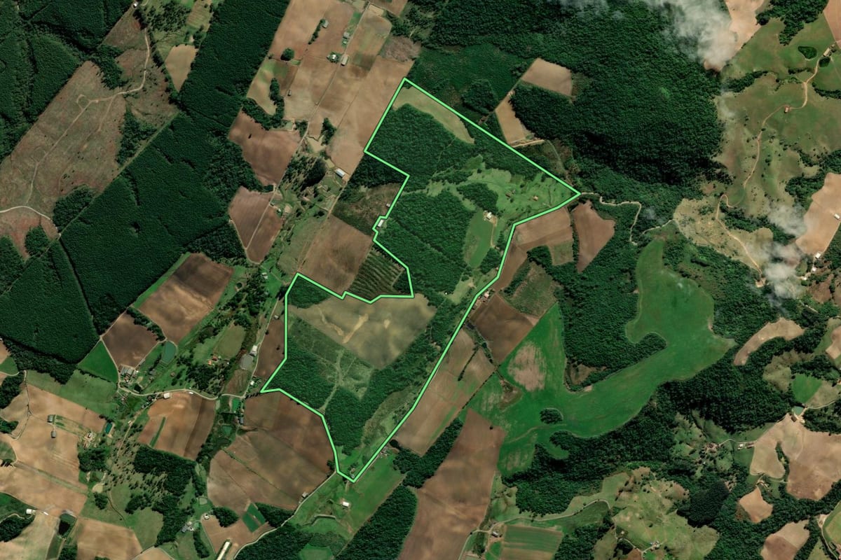 Imagem de satélite do imóvel rural em Alfredo Wagner (SC), com o contorno declarado no CAR desenhado por cima.