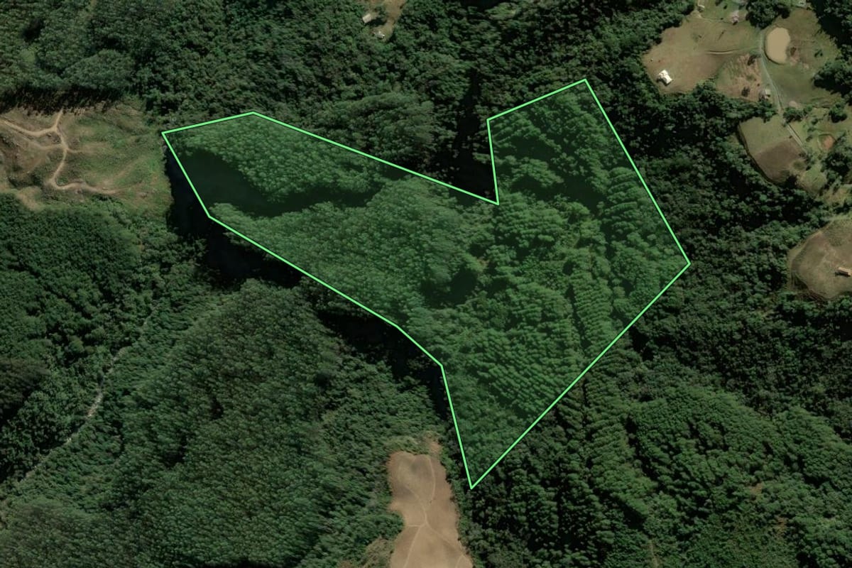 Imagem de satélite do imóvel rural em Alfredo Wagner (SC), com o contorno declarado no CAR desenhado por cima.