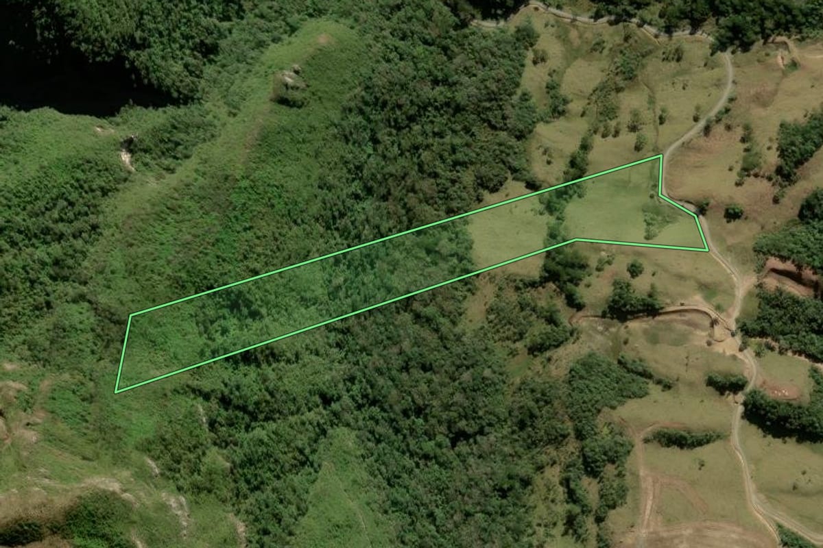 Imagem de satélite do imóvel rural em Alfredo Wagner (SC), com o contorno declarado no CAR desenhado por cima.