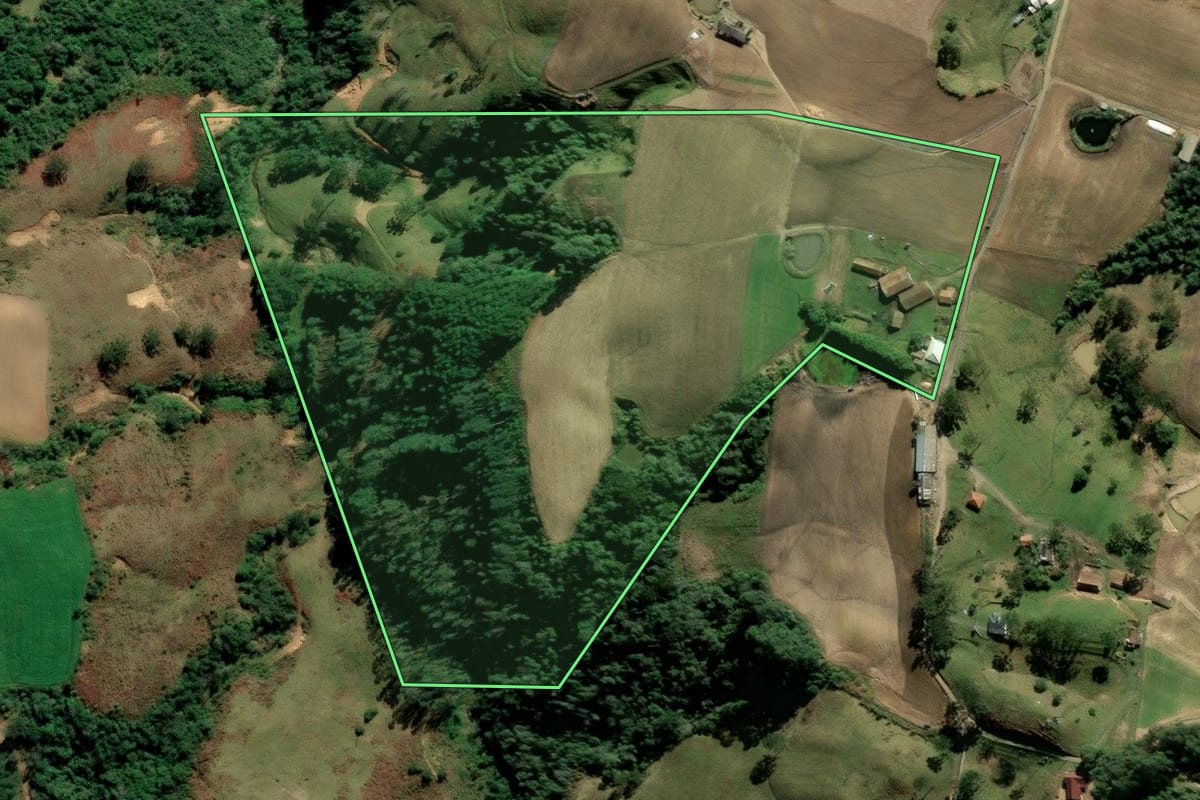 Imagem de satélite do imóvel rural em Alfredo Wagner (SC), com o contorno declarado no CAR desenhado por cima.