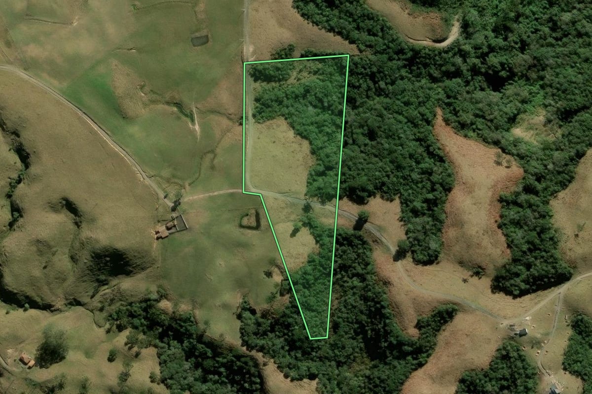 Imagem de satélite do imóvel rural em Alfredo Wagner (SC), com o contorno declarado no CAR desenhado por cima.